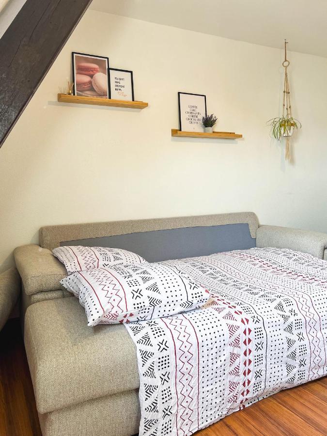 Appart'Hotel Le Dornach - Proche Gare Et Autoroute Mulhouse Luaran gambar