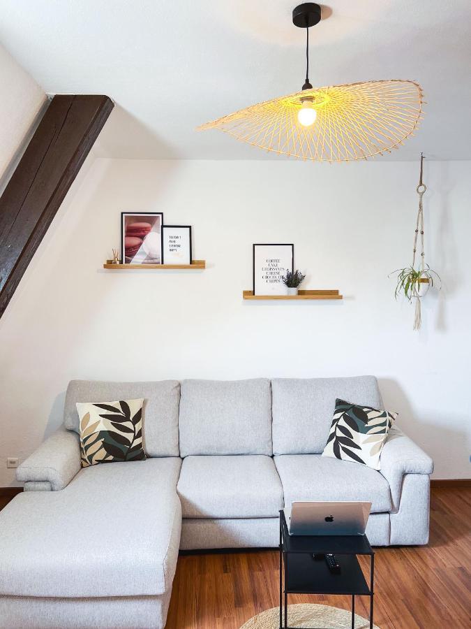 Appart'Hotel Le Dornach - Proche Gare Et Autoroute Mulhouse Luaran gambar